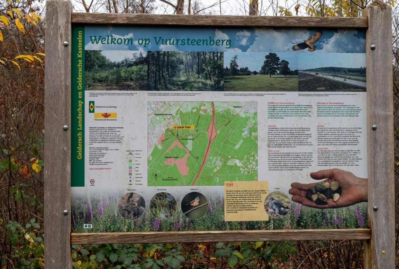 "Dennenhuisje" Op Bospark Ijsselheide Hattemerbroek Ngoại thất bức ảnh